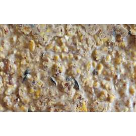 HEATH DDC1-12 Crafted Suet Wild Bird Seed Cake, 11.75 oz Pack