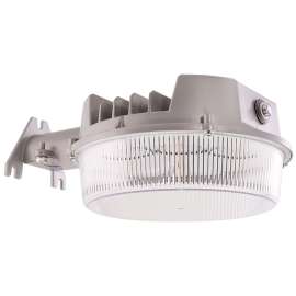 LIGHT AREA LED STD 4000LM 250W