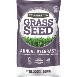 SEED GRS ANNUAL RYEGRASS 50LB