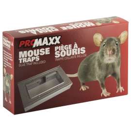 Superior T-50 Mouse Trap