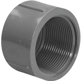 GENOVA 300 Series 301688 Pipe Cap, 1 in FIP, Gray