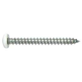 Reliable PKASW834VP Screw, #8-15 Thread, 3/4 in L, Pan Head, Square Drive, Self-Tapping, Type A Point, Stainless Steel