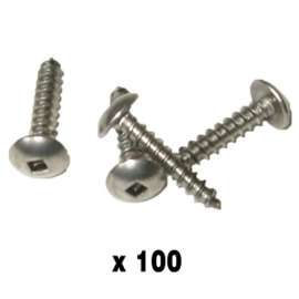Multinautic 15031 Screw, #10 x 1 in, Stainless Steel