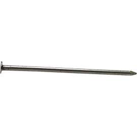 ProFIT 0053199 Common Nail, 3-1/2 in L, 8 ga, Flat Head, 26.15 lb Package