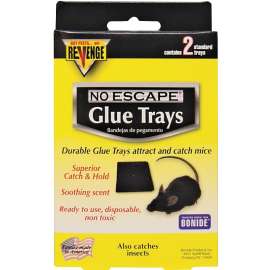 Bonide 47020 Glue Tray, 0.7 in W, 5-1/2 in H, Catch-N-Hold Locking