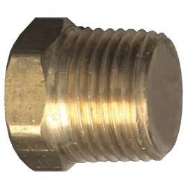 Fairview 121S-DP Solid Pipe Plug, 1/2 in, NPT, Hex Head, Brass