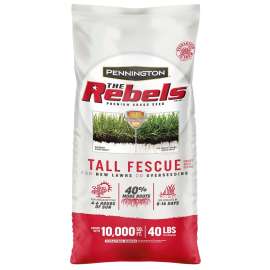 Pennington 100526884 Grass Seed, 40 lb Bag