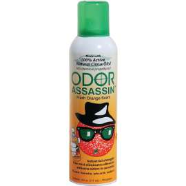 Odor Assasin 124947 Odor Eliminator, 6 oz Can