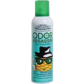 Odor Assasin 124951 Odor Eliminator, 6 oz Can