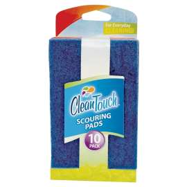 FLP Clean-Up 8824 Scouring Pad, Assorted