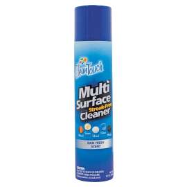 CleanTouch 9659 Cleaner, 8.5 oz Can, Rain Fresh