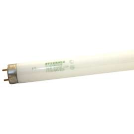 Sylvania 21781 Fluorescent Bulb, 32 W, T8 Lamp, Medium G13 Lamp Base, 2750 Lumens, 4100 K Color Temp, Cool White Light