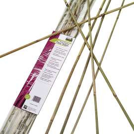 Gardener's Blue Ribbon BB6N Plant Stake, 6 ft L, Bamboo, Natural