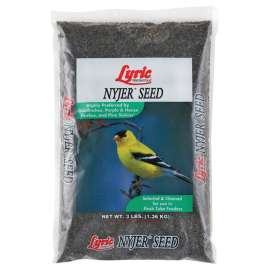 Lyric 26-47426 Bird Seed, Nyjer, 3 lb Bag