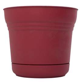 Bloem Saturn SP0512 Planter, 4-1/2 in W, Polypropylene, Union Red