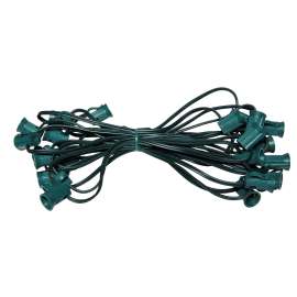 Hometown Holidays 19420 Hank Set, 120 V