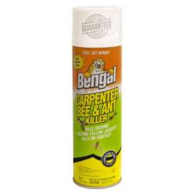 Bengal 97199 Carpenter Bee and Ant Killer, Spray Application, 16 oz