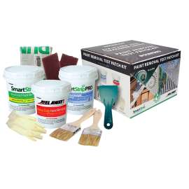 Dumond TPK01 Complete Paint Removal Test Kit, 16 oz, Pail