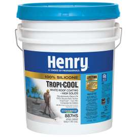 COATING ROOF SILICONE WH 4.75G