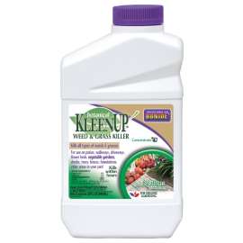 Bonide Botanical KleenUp 7504 Concentrated Weed and Grass Killer, 1 qt