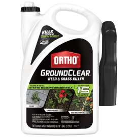 Ortho GROUNDCLEAR 4613905 Weed and Grass Killer, Liquid, Spray Application, 1 gal Bottle