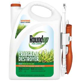 Roundup 4386004 Crabgrass Destroyer, Liquid, Spray Application, 1 gal Bottle