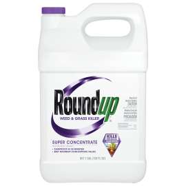 Roundup 5004215 Super Concentrated Weed and Grass Killer, Liquid, Spray Application, 1 gal Bottle