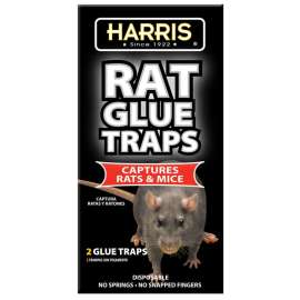 HARRIS BLK-RG2 Rat Glue Trap