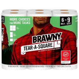 Brawny Essentials 44276 Paper Towel with Dawn Detergent, 5.9 in L, 11 in W, 2-Ply