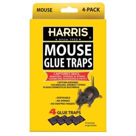 HARRIS HMG-4 Mouse Glue Trap
