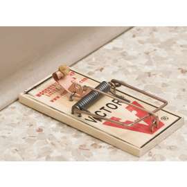 Victor M040 Mouse Trap