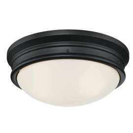 Westinghouse Meadowbrook Series 6324100 Flush Mount Ceiling Fixture, 120 VAC, 2-Lamp, Black Fixture, Matte Fixture