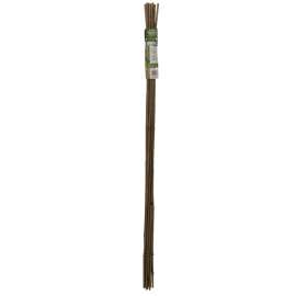 Gardener's Blue Ribbon BB4 Plant Stake, 4 ft L, Bamboo, Green