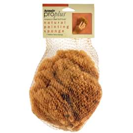 Armaly ProPlus 15217-4 Textured Painting Sponge, 5 in W, Coarse