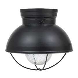 FXT CG LED FLSHMT DIM A19 800L