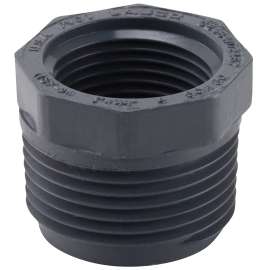 GENOVA 300 Series 343178 Pipe Reducing Bushing, 1 in MIP x 3/4 in FIP