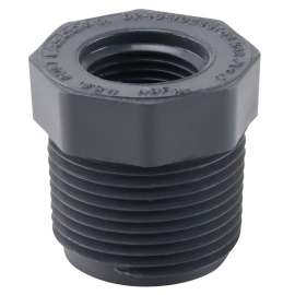 GENOVA 300 Series 343158 Pipe Reducing Bushing, 1 in MIP x 1/2 in FIP