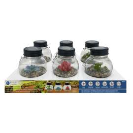 Boston Harbor Jar, Ni-Mh Battery, 1-Lamp, LED Lamp, Glass Stone Succulent Stainless Steel Fixture