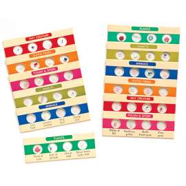 Prepared Slides, Set of 12