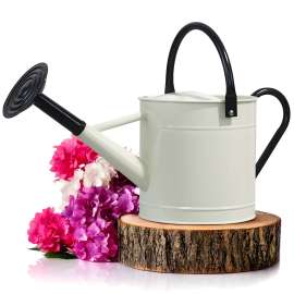 1 Gallon Metal Watering Can with Handle and Spout