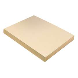 Heavyweight Tagboard, Manila, 9" x 12", 100 Sheets Per Pack, 3 Packs