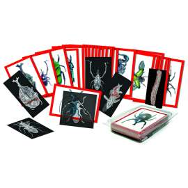 Roylco Insect X-rays and Picture Cards, 36/pkg