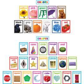 Colorful Photo Shapes & Colors Cards Bulletin Board