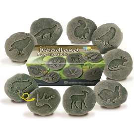 Let's Investigate Woodland Footprint Stone, Pack of 8