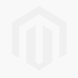 Professional Lysol Power Toilet Bowl Cleaner