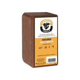 Roto Salt Champion's Choice 110005052 Salt Block, 4 lb