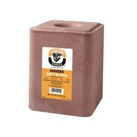 Champion's Choice 100012603 Salt Block, 50 lb
