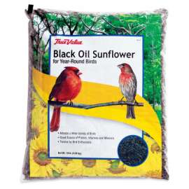 TV 10LB SunFLWR Seed