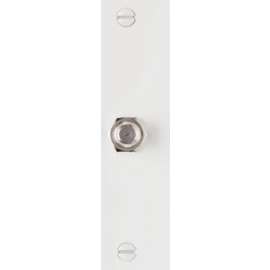 WHT 1G Coax Wall Plate