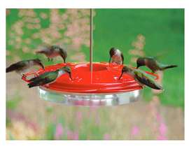 8-3/4" Humming Feeder